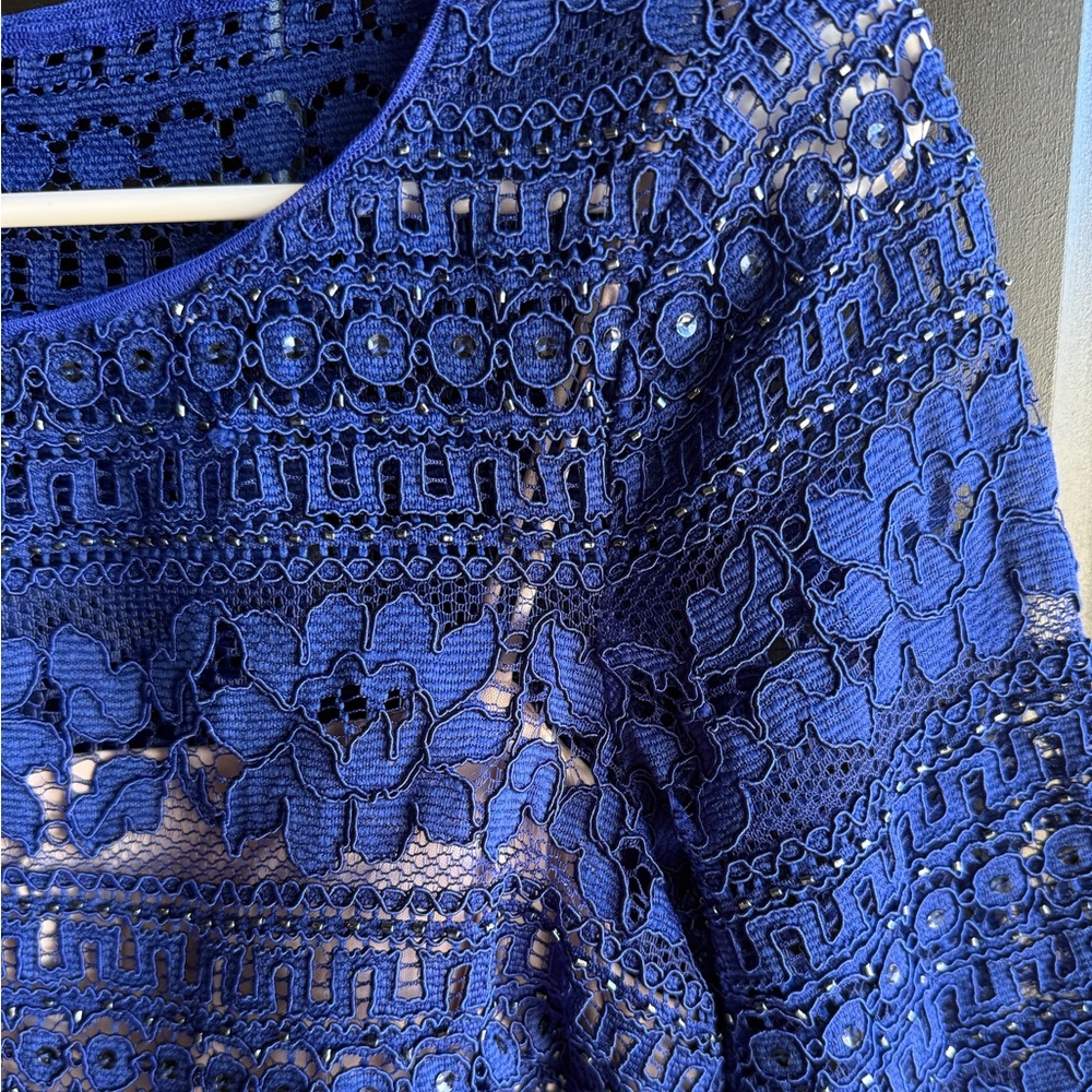 NWOT Adrianna Papell Corded Stripe Lace Sheath Dress in a royal blue 4P - Picture 8 of 13